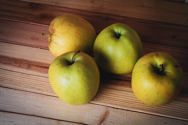포토 JPG 해외이미지 전통 할머니 2 상상 성공 아이디어 3 사람없음 건강관리 일출 활발 수확 광선 최고 조직 그룹 변화 닫기 중앙 매끈함 큼 대표 순수 상쾌 개성 줄서기 특별함 많음 국경 해외202310 해외포토 여자 노년 감정 컨셉 농업 모션 건강 관리 노을 감각 크기 파일형식