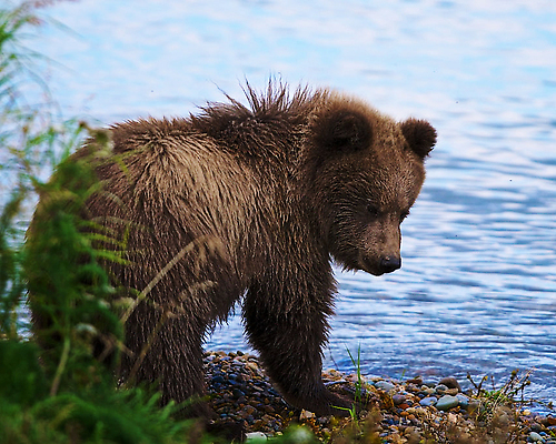 포토 JPG 해외이미지 여행 사람없음 여행객 해외202310 해외포토 사람 파일형식