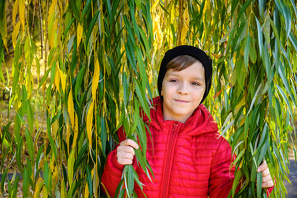 포토 JPG 해외이미지 나무 식물 백인 라이프스타일 공원 행복 어린이 스포츠 포즈 백그라운드 잎 패턴 학교 가족 자연 사랑 한명 사람 소년 야외 초록색 물 태양 뷰티 맑음 일몰 봄 기쁨 나뭇가지 아기 보호 버드나무 질감 수평선 해외202310 해외포토 자연요소 서양인 1 계절 공공시설 교육 남자 감정 컬러 컨셉 무늬 관계 날씨 생활 노을 생태계 파일형식