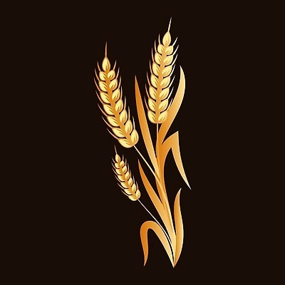 EPS 해외이미지 식물 음식 빵 줄기 밭 농업 일러스트 자연 밥 건강 옥수수 씨앗 농작물 농장 노란색 빵집 수확 황금 낟알 시리얼 밀 다발 심볼 사인 유기농 보리 귀 밀가루 스파이크 밀짚 내추럴 고립 밭일 수수 숙성 호밀 벡터 귀리 해외202310 해외일러스트 웰빙 산업 컬러 곡류 신체부위 상점 짚 가루 생태계 파일형식