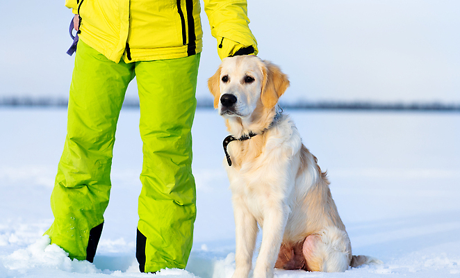 포토 JPG 해외이미지 여자 겨울 한명 성인 야외 설원 추위 하반신 강아지 목줄 성인여자한명만 해외202310 해외포토 1 계절 눈_날씨 사람 반려동물 개 여자한명만 성인여자만 파일형식 반려용품