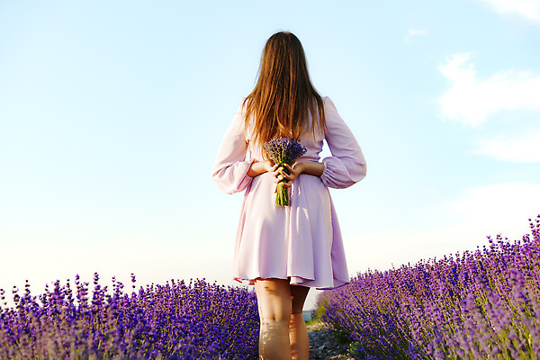 포토 JPG 해외이미지 여자 꽃다발 꽃밭 한명 들기 상반신 성인 야외 뒷모습 일몰 라벤더 프로방스 성인여자한명만 해외202310 해외포토 1 꽃 뷰포인트 모션 사람 노을 허브 여자한명만 성인여자만 파일형식