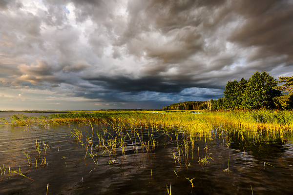 포토 JPG 해외이미지 나무 구름 공원 유럽 호수 여행 밭 자연 하늘 낚시 휴가 파노라마 국립공원 풍경 사람없음 야외 초록색 물 여름 파란색 강 반사 일몰 캠핑 보트 숲 언덕 장면 지역 내추럴 벨로루시 옛날 전국 해외202310 해외포토 자연요소 식물 계절 공공시설 나라 컬러 농업 배_교통 레저 촬영기법 노을 생태계 파일형식