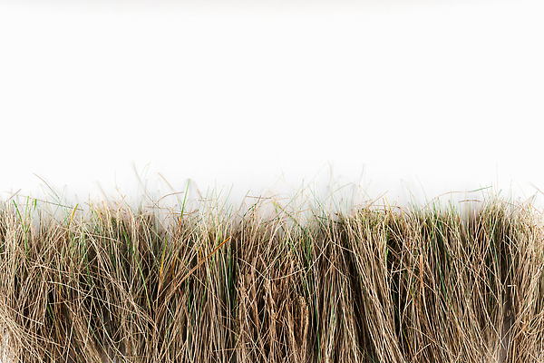 포토 JPG 해외이미지 라이프스타일 백그라운드 컨셉 텍스트 자연 건조 건강 이끼 사람없음 목재 초록색 뷰티 스파 목욕 화장품 재활용 흰색 바 정상 순수 에코 친환경 유기농 심플 유지 낭비 내추럴 영 돌봄 바이오 카피스페이스 비어있는 해외202310 해외포토 나무 웰빙 컬러 재료 모션 생활 숫자 환경 청결 공백 생태계 파일형식