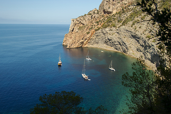 포토 JPG 해외이미지 디자인 모래 파도 바다 섬 여행 백그라운드 컨셉 텍스트 자연 벽지 추상 휴가 풍경 사람없음 야외 물 여름 파란색 단어 뷰티 만 메시지 사인 긍정 해외202310 해외포토 자연요소 문자 계절 컬러 무늬 생태계 파일형식