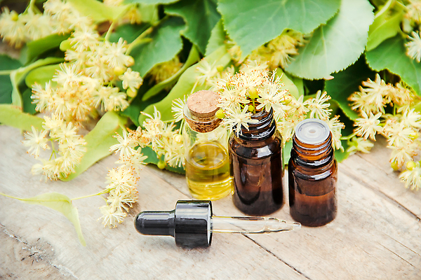 포토 JPG 해외이미지 꽃 백그라운드 자연 나뭇잎 사람없음 뷰티 신선 오일 내추럴 해외202310 해외포토 식물 음식 잎 화장품 생태계 파일형식