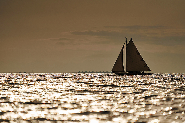 포토 JPG 해외이미지 물결 파도 바다 분홍색 백그라운드 요트 자연 하늘 표면 바람 날씨 휴식 항해 풍경 사람없음 물 빛 컬러풀 햇빛 태양 반사 환경 고요 일몰 레이싱 뜨거움 액체 보트 클래식 떨어짐 크루즈 질감 롤 폭풍 추적 레가타 터키석 해외202310 해외포토 자연요소 컬러 컨셉 배_교통 모션 시합 노을 보석 생태계 파일형식