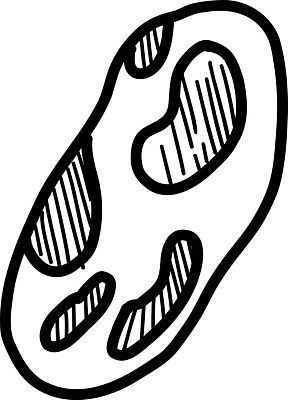 EPS 해외이미지 클립아트 디자인 실루엣 일러스트 자연 흑백 미술 야외 그래픽 물 강 한개 블록 조약돌 바위 낙서 파편 보석 스케치 자르기 천 심볼 오브젝트 사인 그림 질감 심플 윤곽 손그림 운석 고립 그런지 깨짐 엘리먼트 지질학 화강암 벡터 해외202310 해외일러스트 자연요소 1 교육 컨셉 모션 문화예술 촬영기법 암석 돌_바위 직물 광석 생태계 파일형식