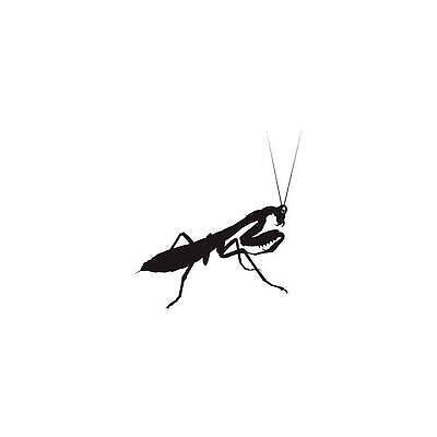 EPS 해외이미지 동물 캐릭터 디자인 야생동물 선 음식 곤충 백그라운드 날개 일러스트 비즈니스 추상 생물 무척추동물 안테나 육류 미술 그래픽 머리 라벨 정원 검은색 벌레 작음 만화 수집 딱정벌레 사인 싱글 그림 생물학 윤곽 개미 고립 귀뚜라미 마스코트 상형문자 특별함 벡터 해외202310 해외일러스트 일러캐릭터 문자 교육 컬러 컨셉 무늬 식재료 통신 문화예술 프레임 신체부위 크기 파일형식 사람
