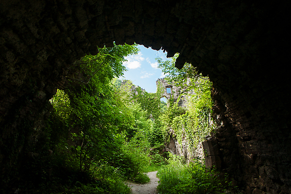 포토 JPG 해외이미지 나무 유럽 벽 여행 백그라운드 건축양식 자연 하늘 산 졸업생 사람없음 야외 건물 초록색 파란색 뷰티 성 중세 역사 재산 숲 버리기 언덕 폐허 타운 크로아티아 강화 랜드마크 옛날 파멸 해외202310 해외포토 식물 건축물 건축 나라 컬러 컨셉 졸업 모션 금융 도시 생태계 파일형식 소멸