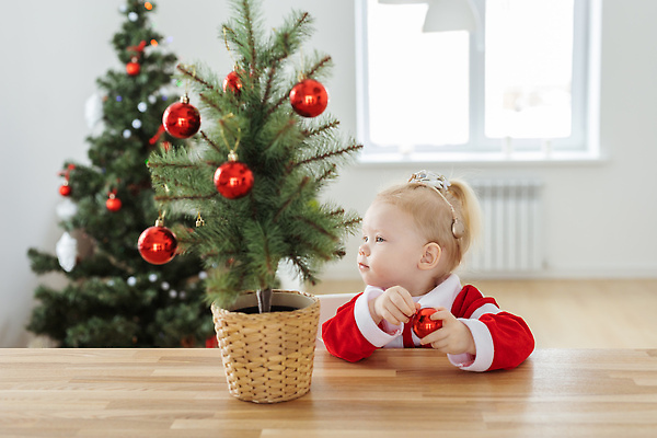 포토 JPG 해외이미지 백인 여자 화분 크리스마스 가족 휴가 한명 들기 상반신 앞모습 크리스마스트리 아기 여자아기한명만 오너먼트 해외202310 해외포토 서양인 1 기념일 뷰포인트 크리스마스장식 관계 모션 사람 여자한명만 여자아기만 파일형식