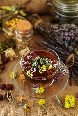 포토 JPG 해외이미지 꽃 사람없음 나뭇가지 약초 찻잔 컵받침 드라이플라워 말린재료 해외202310 해외포토 나무 식물 잔 풀_식물 받침대 파일형식