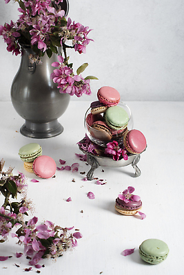 포토 JPG 해외이미지 꽃잎 봄꽃 사람없음 장식 꽃병 원예 마카롱 해외202310 해외포토 꽃 디저트 취미 봄 파일형식