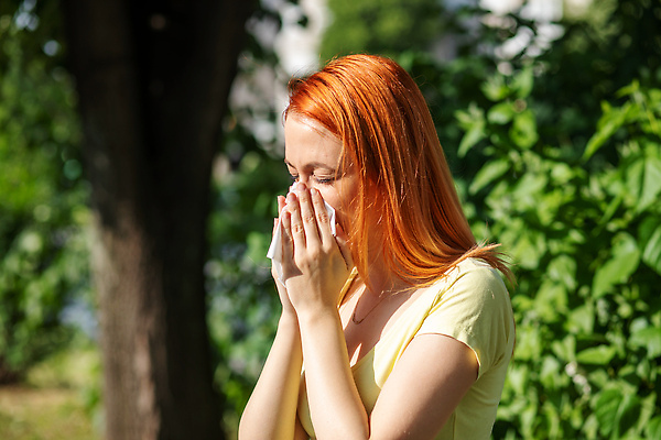 포토 JPG 해외이미지 식물 손 계절 여자 꽃 자연 건강 한명 안전 여름 수건 봄 고통 추위 벚꽃 흰색 열 조직 오염 바이러스 보호 질병 불기 코 예방 감염 꽃가루 빨간머리 알레르기 기침 돌봄 반응 인플루엔자 재채기 전염병 증상 해로움 해외202310 해외포토 1 헤어스타일 감정 컬러 컨셉 의학 모션 사람 신체부위 위생용품 가루 생태계 파일형식