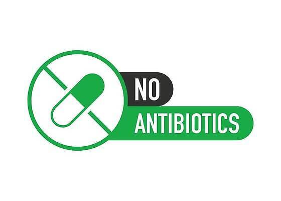 EPS 해외이미지 선 음식 스티커 농업 일러스트 손바닥 육류 안전 픽토그램 농장 라벨 계란 다이어리 치킨 견과류 소 기름 심볼 에코 유기농 서리 소금 패키지 우표 알레르기 대두 무료 바이오 유전자변형 증명서 항생제 벡터 호르몬 비건 해외202310 해외일러스트 손 웰빙 산업 식재료 포유류 프레임 약 환경 알 사무용품 질병 닭고기요리 채식주의자 파일형식