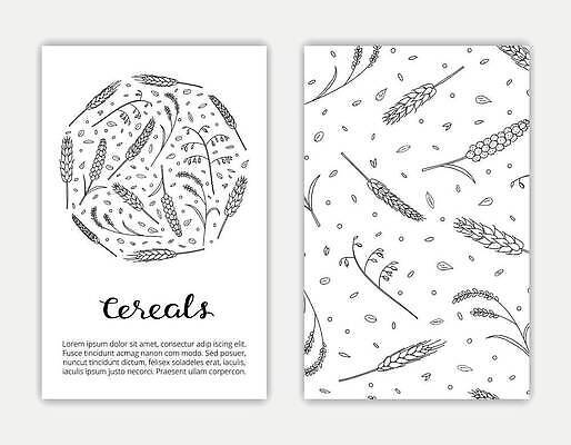 EPS 해외이미지 식물 템플릿 편집 손 디자인 계절 음식 줄기 잎 농업 일러스트 비즈니스 텍스트 자연 밥 씨앗 여름 농작물 농장 수확 흰색 시골 신용카드 낙서 낟알 스케치 시리얼 밀 심볼 그림 유기농 보리 윤곽 고립 수수 옛날 호밀 레터링 벡터 귀리 해외202310 해외일러스트 웰빙 산업 컬러 곡류 미술 신체부위 금융 생태계 파일형식