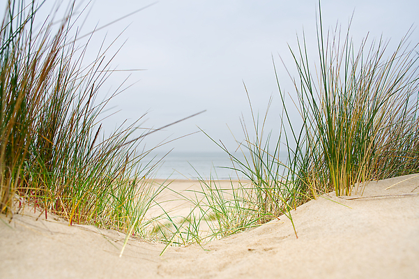 포토 JPG 해외이미지 구름 유럽 길 모래 파도 바다 섬 여행 백그라운드 자연 하늘 휴가 파노라마 풍경 사람없음 야외 물 여름 파란색 모래사장 햇빛 뷰티 맑음 일몰 모래언덕 네덜란드 북쪽 내추럴 수평선 해외202310 해외포토 자연요소 계절 나라 컬러 날씨 촬영기법 태양 노을 방향 언덕 생태계 파일형식