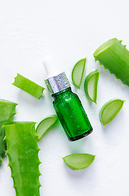 포토 JPG 해외이미지 무료이미지 백그라운드 사람없음 초록색 뷰티 신선 오일 수분 알로에 해외202310 해외포토 식물 음식 컬러 화장품 파일형식