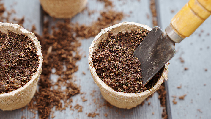 포토 JPG 해외이미지 식물 계절 백그라운드 컨셉 잎 농업 자연 새로움 씨앗 취미 사람없음 초록색 농장 갈색 새싹 정원 농사 흙 봄 성장 도구 신선 냄비 작음 삽 에코 유기농 원예 내추럴 돌봄 모종 묘목 바이오 밭일 심기 착륙 세련 해외202310 해외포토 나무 웰빙 산업 컬러 모션 환경 솥 크기 생태계 파일형식