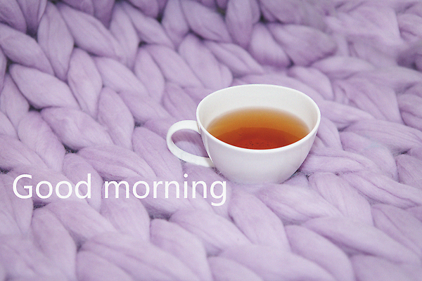 포토 JPG 해외이미지 라이프스타일 손 디자인 커피 음료 분홍색 백그라운드 컨셉 겨울 아침 휴식 주택 따뜻함 사람 사람없음 내부 목재 장식 컵 힘 침실 방 가을 흰색 침대 뜨거움 뜨개질 차 아침식사 담요 스웨터 니트 시골집 아로마 부드러움 라벤더 안락 해외202310 해외포토 주간 나무 식기 계절 꽃 컬러 가구 상의 재료 취미 건물 생활 신체부위 식사 감각 허브 파일형식