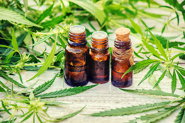 포토 JPG 해외이미지 백그라운드 자연 사람없음 뷰티 신선 풀잎 오일 내추럴 해외202310 해외포토 음식 잎 화장품 풀_식물 생태계 파일형식