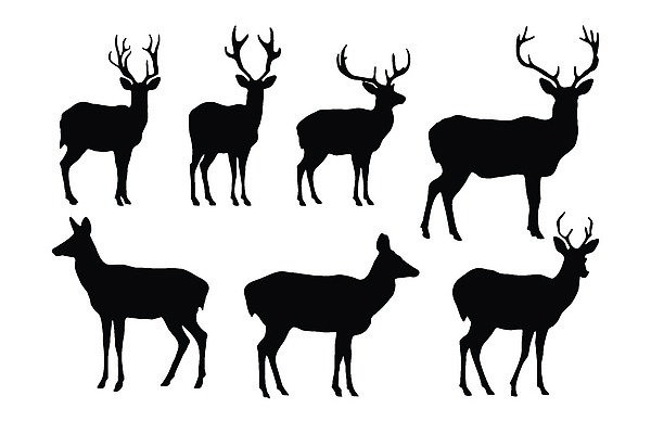 EPS 해외이미지 동물 디자인 남자 실루엣 야생동물 일러스트 포유류 자연 사슴 뿔 흑백 미술 서기 그래픽 뷰티 달러 검은색 만화 심볼 사인 흰배경 그림 사냥 가젤 순록 엘리먼트 엘크 벡터 해외202310 해외일러스트 컬러 백그라운드 돈 모션 문화예술 촬영기법 사람 흰색 생태계 파일형식