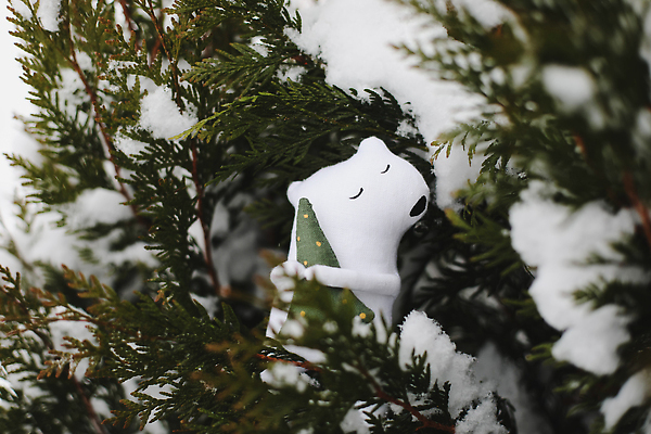 포토 JPG 해외이미지 인형 잎 겨울 안기 사람없음 크리스마스트리 눈감음 눈 분위기 북극곰 해외포토 자연요소 식물 계절 컨셉 크리스마스 곰 모션 날씨 파일형식