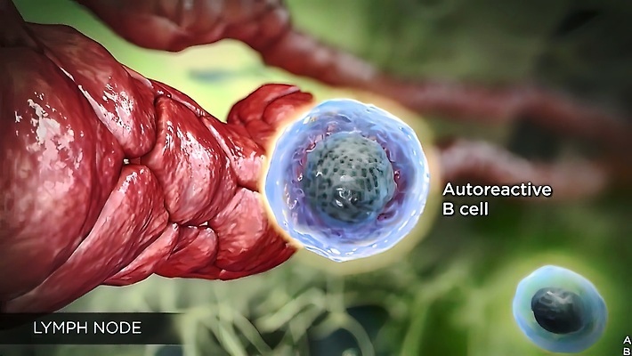포토 JPG 해외이미지 여자 얼굴 과학 신체 일러스트 해부 세포 건강 사람 사람없음 약 흰색 오르간 척추 생물학 함선 감염 시스템 목 암 마디 돌봄 면역력 유체 해외202310 해외일러스트 교육 컬러 배_교통 의학 모션 뼈 신체부위 건반악기 질병 파일형식