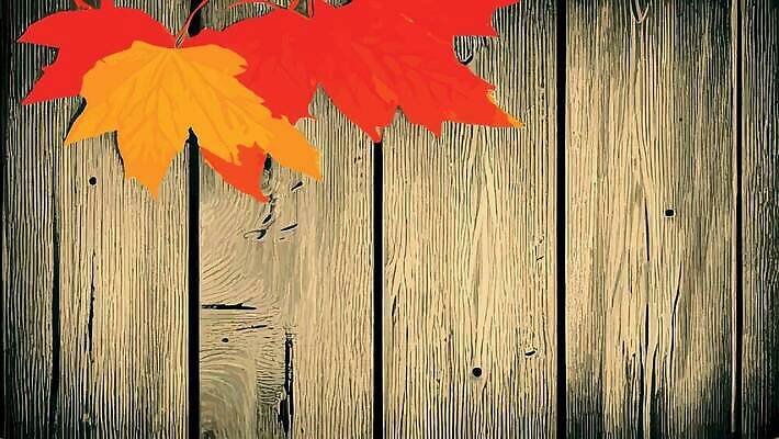 EPS 해외이미지 식물 디자인 계절 컬러 백그라운드 단풍 잎 패턴 오렌지 일러스트 학교 자연 추상 프레임 미술 야외 장식 빨간색 초록색 빛 세트 컬러풀 뷰티 갈색 노란색 덮개 숲 9월 11월 질감 복고 옛날 취급주의 특별함 벡터 반복 해외202310 해외일러스트 교육 컨셉 무늬 과일 문화예술 경고 뚜껑 날짜 생태계 파일형식