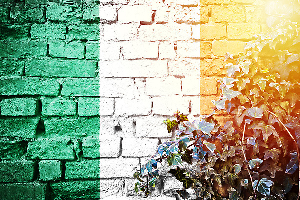 포토 JPG 해외이미지 식물 디자인 외관 벽 백그라운드 컨셉 잎 패턴 오렌지 건축양식 자연 벽지 표면 벽돌 프레임 사람없음 건물 초록색 태양 갈색 수확 안개 바위 나뭇가지 깃발 거친 심볼 타일 질감 복고 아이비 아일랜드 더블린 내추럴 그런지 옛날 콘크리트 해외202310 해외포토 자연요소 나무 건축물 건축 유럽 컬러 무늬 농업 과일 날씨 돌_바위 생태계 파일형식