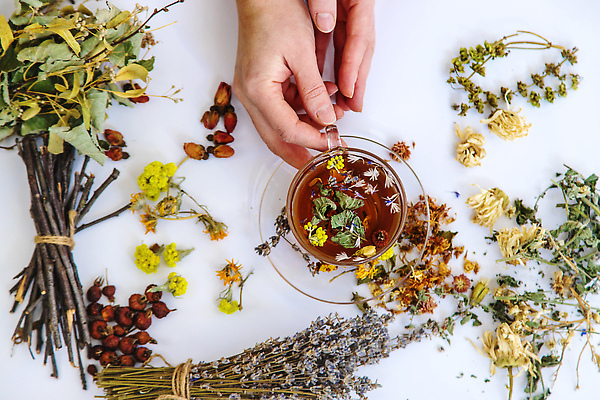 포토 JPG 해외이미지 손 꽃 잎 들기 신체부위 나뭇가지 약초 찻잔 컵받침 드라이플라워 말린재료 해외202310 해외포토 나무 식물 모션 잔 사람 풀_식물 받침대 파일형식