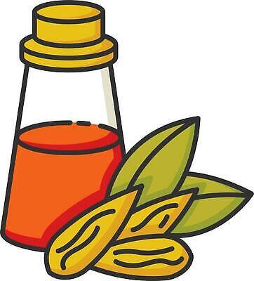 EPS 해외이미지 잎 일러스트 사람없음 오일 아몬드 해외202310 해외일러스트 식물 음식 화장품 견과류 파일형식 벡터