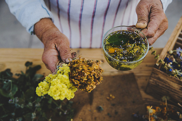 포토 JPG 해외이미지 손 여자 노년 꽃 한명 들기 바구니 약초 꽃차 말린재료 허브차 노인여자한명만 해외202310 해외포토 식물 1 모션 사람 성인 신체부위 차_음료 풀_식물 여자한명만 노인여자만 파일형식