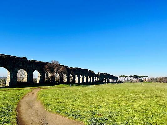 포토 JPG 해외이미지 나무 식물 도로 바다 건축양식 자연 하늘 풍경 사람없음 물 수도교 수평선 해외202310 해외포토 자연요소 건축 길 교통시설 다리 생태계 가교 파일형식