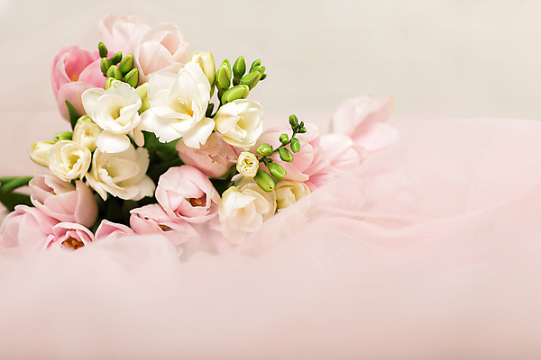 포토 JPG 해외이미지 분홍색 부케 결혼 잎 사람없음 튤립 베일 해외202310 해외포토 식물 꽃 컬러 꽃다발 이벤트 파일형식