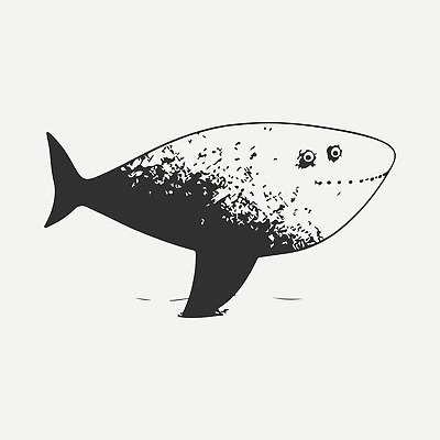 EPS 해외이미지 야생동물 선 일러스트 사람없음 검은색 심볼 심플 상어 해외202310 해외일러스트 동물 컬러 어류 파일형식 벡터