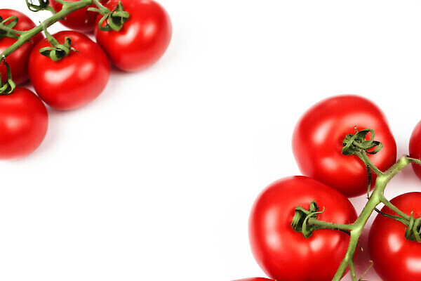 포토 JPG 해외이미지 식물 접시 음식 줄기 컬러 백그라운드 농업 토마토 채소 과일 재료 자연 건강 요리 사람없음 빨간색 초록색 물 여름 빛 주방 샐러드 성장 물방울 나뭇가지 신선 그룹 시장 다발 오브젝트 상쾌 유기농 날것 건강식 내추럴 숙성 채식주의자 해외202310 해외포토 자연요소 나무 식기 웰빙 계절 감정 산업 생태계 채식 파일형식