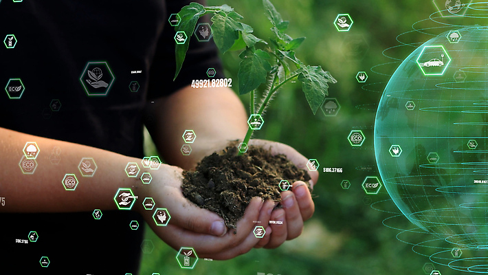 포토 JPG 해외이미지 식물 산업 지구 컨셉 농업 회사 비즈니스 자연 미래 사람없음 초록색 글로벌 농장 환경 자료 재활용 에너지 정보 성장 절약 네트워크 사회 그린에너지 보호 계획 숲 스마트 디지털합성 에코 투자 지구온난화 자원 유지 경영 생태학 소셜 온실 해외202310 해외포토 교육 컬러 친환경 생태계 공동체 기후변화 파일형식