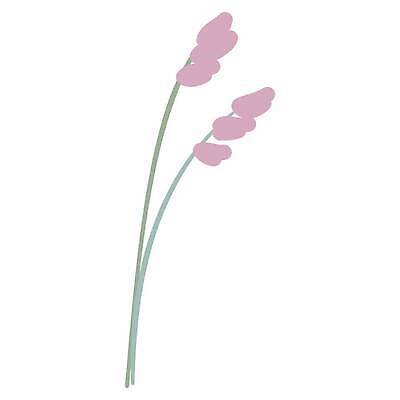 EPS 해외이미지 클립아트 모양 나무 식물 디자인 꽃 실루엣 단풍 잎 꽃무늬 일러스트 자연 손바닥 초록색 여름 유행 정원 스파 봄 성장 플랫 낙서 숲 열대우림 허브 라인아트 심플 고립 양치류 엘리먼트 이국적 파라다이스 파스텔톤 벡터 미니멀 해외202310 해외일러스트 손 계절 선 컬러 무늬 촬영기법 생태계 파일형식