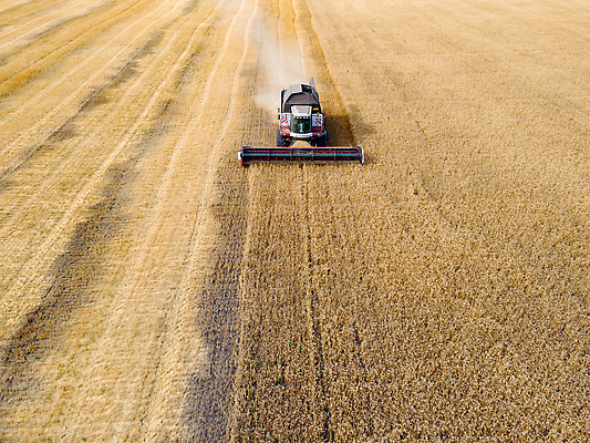 포토 JPG 해외이미지 직업 지구 밭 농업 옥수수 씨앗 사람없음 농장 농경지 농사 기계 목장 모임 수확 성장 칼날 재산 황금 제조 농부 혼합 결합 낟알 땅 시리얼 밀 알맹이 트랙터 로딩 밭일 조감도 공급 세련 귀리 해외202310 해외포토 식물 산업 음식 곡류 금융 농기계 특수차량 파일형식