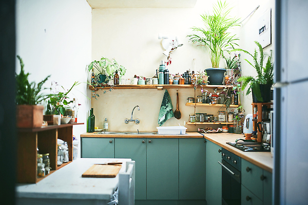 포토 JPG 해외이미지 라이프스타일 꽃 가구 백그라운드 컨셉 건축양식 탁자 주방용품 새로움 선반 아파트 주택 실내 한명 사람없음 내부 목재 장식 초록색 빛 인테리어 뷰티 우주 주방 식사 기계 흰색 고급 우아함 오븐 계산대 싱크대 심플 해외202310 해외포토 나무 식물 1 디자인 건축 컬러 생활용품 재료 사람 건물 생활 가전제품 개수대 파일형식