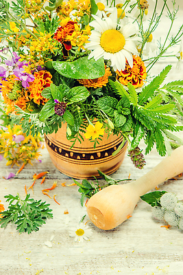 포토 JPG 해외이미지 꽃 잎 사람없음 바구니 약초 해외202310 해외포토 식물 풀_식물 파일형식