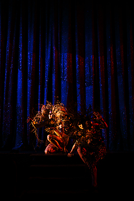 포토 JPG 해외이미지 드레스 문화 음악 의자 실내 두명 건물 빛 세계 뷰티 화환 어둠 놀람 공연 댄서 할로윈 무대 수확 춤 화려 영혼 중세 유령 야간 무서움 극장 버리기 복고 마녀 쇼 장면 베일 객석 블러 옛날 해외202310 해외포토 자연요소 직업 건축물 옷 꽃 감정 가구 컨셉 농업 모션 문화예술 표정 사람 이벤트 내부 역사 파일형식