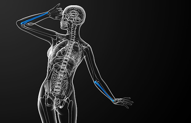 포토 JPG 해외이미지 손 과학 신체 해부 뼈 골격 건강 사람 사람없음 3D 팔 해외202004 해외포토 의학 신체부위 디지털합성 파일형식