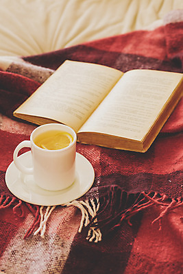 포토 JPG 해외이미지 라이프스타일 겨울 침구 아침 휴식 주택 실내 따뜻함 사람없음 책 컵 빨간색 소파 독서 추위 가을 침대 직물 뜨거움 차 아침식사 담요 레몬 장면 부드러움 페이지 리빙 깅엄 정물화 안락 해외202004 해외포토 주간 식기 계절 음료 컬러 가구 컨셉 의자 과일 내부 건물 생활 식사 감각 그림 파일형식