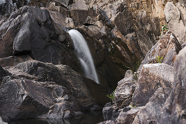 포토 JPG 해외이미지 공원 잎 자연 풍경 사람없음 야외 물 침묵 폭포 신선 호주 떨어짐 내추럴 해외202004 해외포토 자연요소 식물 공공시설 컨셉 소리 오세아니아 생태계 파일형식