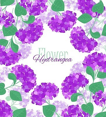 EPS 해외이미지 백그라운드 잎 일러스트 프레임 타이포그라피 사람없음 보라색 우아함 수국 카피스페이스 해외202004 해외일러스트 식물 문자 꽃 컬러 컨셉 공백 파일형식 벡터