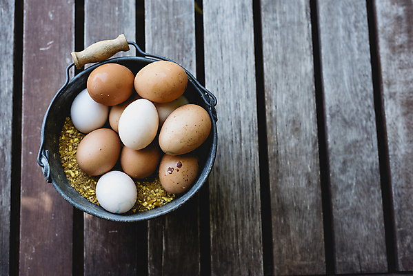 포토 JPG 해외이미지 음식 건강 사람없음 갈색 계란 신선 상품 양동이 유기농 날것 내추럴 해외202004 해외포토 웰빙 컬러 알 파일형식