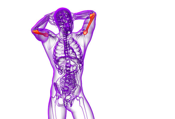 포토 JPG 해외이미지 신체 해부 뼈 건강 미술 사람 사람없음 파란색 컴퓨터 3D 검은색 생물학 팔 해외202004 해외포토 교육 컬러 의학 문화예술 신체부위 전자제품 디지털합성 파일형식