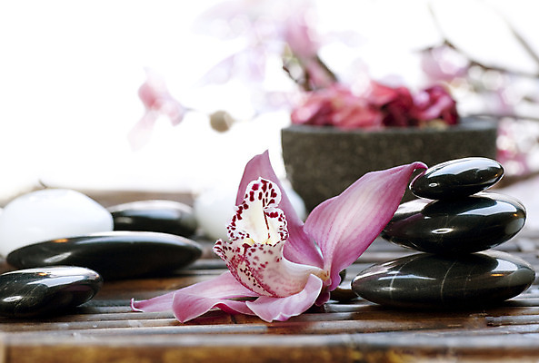 포토 JPG 해외이미지 꽃 분홍색 백그라운드 컨셉 사람없음 쌓기 검은색 스파 조약돌 흰색 마사지 난초 오브젝트 테라피 해외202004 해외포토 식물 컬러 모션 뷰티 돌_바위 파일형식